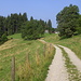 Auf dem <i>Wetzsteinweg</i> verlasse ich Saulgrub.