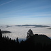 Appenzeller Inselwelt - Die Nebeldecke stieg tagsüber an