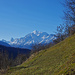 Die schönsten Hörner im Wallis