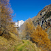 Erster Blick auf das Nesthorn