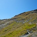 Der Schlussaufstieg zum Col de Torrent, wo [u Steinlaus] und [u Pfaelzer] schon lange Zeit auf uns warteten