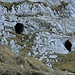 Diese beiden Höhlen gaben der attraktiven Route den Namen: Die Nasenlöcher.