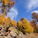 schönste Herbststimmung im Val Müstair ...