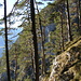 Steile, bewaldete Hänge oberhalb von "Oberlindeben"