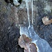 <b>Arte naturale 3.</b>