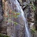 Pfaffenhütchen vor Wasserfall