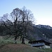 ein überaus schöner Weiler: Trüschhubel