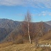 Panorama dal baitello