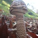 Lepiota