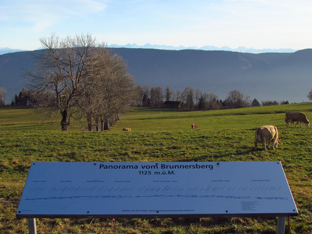 Panorama vom Brunnersberg 1125 m.ü.M. nach Süden. Fotos