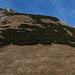 Der Fölzstein "thront" erhaben über der Fölzalm - immerhin sind noch 500 Höhenmeter bis zum Gipfel zu überwinden