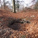 ehemaliger Ziehbrunnen der Burg?