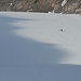 Ein Heilpilot trainiert Landeanflüge auf dem Eis