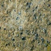 Der Peridotit enthält dunkelgrünen Pyroxen und klare himbeerrote Granate, die oft von einem grünen Rand umgeben sind. (Wand des Brunnentroges)