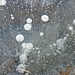 Im Banne des Eises, Teil 5: Während des Aufsteigens sind zahlreiche Luftbläschen vom Eis eingeschlossen worden.
