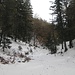 ...wenig Schnee am 09.12.2011 im Aufstieg zum Jochberg
