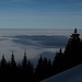 Wolken-Wattemeer  im Alpenvorland