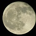 Für die hoffentlichen, treuen Mondfans, die noch immer nicht genug Mond im 35-fach Zoom gesehen haben:-)
Aber wie schon gesagt, sieht man bei so hellem Mond mit der Kamera die Krater nicht mehr so schön. Ich habe verschiedene Aufnahmearten ausprobiert, besser ging`s nicht.
Aufnahmedatum 11.12.2011 18.54 Uhr
