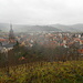 Blick auf die Stadt Gengenbach