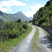 Weg zur Alpe Motta