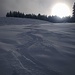Auch auf der Alpe Ebenwald gibt es tollen Schnee