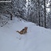 Es hat genügend Schnee
