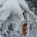 Winterlicher Baumschmuck