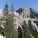 Aufstieg über den steilen Jagdsteig in Richtung Großkar; rechts der untere Südgrat der Hochkarspitze