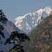 Sringi Himal, der alles überragende Gipfel der ersten 3 Etappen