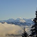 ein letzter Blick zu Wetter-, Schreck- und Finsteraarhorn (diese beiden mit Wolken-Fahnen) vor dem Abstieg im Schatten