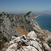 Gibraltar - Ausblick vom Grat westlich oberhalb von Sandy Bay in nördliche Richtung.