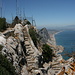 Gibraltar - Nördlich von O'Hara's Battery/Lord Airey's Battery erreichen die Mediterranean Steps, ein schmaler Pfad, den Felsgrat. Blick in nördliche Richtung.