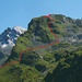 Meine Route durch die Westflanke auf den Schinberg (2372m).

Nach Führerliteratur könnte man auch alles dem Grat folgen (T5). Leider schaute ich erst nach der Tour ins Büchlein...