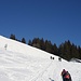 Kurz unterhalb der Buchele Alpe