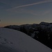 Winterbaer bei der Lieblingsbeschäftigung: Sonnenuntergang fotografieren