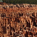 Bryce Canyon National Park - Hoodoos nel Bryce Amphitheater