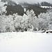 Winter Impressionen vom Tschingelsee (Wald)