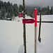Ab Griesalp ist der Schneeschuh Trail markiert. Beim Steineberg Pt1467 (nach dem Golderli) zogen auch wir die Schneeschuhe an
