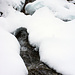 Winter Impressionen vom Schneeschuh Trail Griesalp