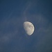 Der Mond einmal noch bei Sonne am blauen Himmel, schaut irgendwie künstlich aus:-)
Aufnahmedatum: 03.01.2012 16.11 Uhr
F=5,8/ISO 80/Bel.zeit:1/160 sec./Lichtwert -1/Brennweite 150mm
(Canon SX 30 IS) mit Stativ 10 sec. Selbstauslöser, Originalgröße 35-fach Zoom