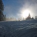 Schnee, Sonne, Nebel und vor allem viel blauer Himmel: so macht auch der Winter Spaß!