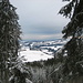 Blick aus dem Höhiwald bis zum Bodensee