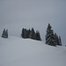 Auf dem Weg von der Ochsenhöhi zum Gipfel in gut 70 cm Schnee