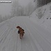 Luca - wie immer voraus und begeistert vom Schnee