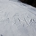 <b>Non so chi sia questa Anna, comunque mi associo ai saluti in quanto anch'io conosco qualche Anna.<br />Come avranno fatto a scrivere sulla neve senza lasciare impronte?</b>