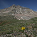 Im Aufstieg zum Mount Sneffels (13.07.2009) - Blick zum Gilpin Peak.