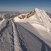 Gipfel Parrotspitze 4432m