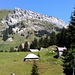 Rückblick von der Alp Trepsen - alternativer Abstieg von P.1879 über die Grasflanke zur Alp Chöpfen