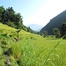 stundenlang durch die Reisfelder wandern wir stetig leicht bergauf