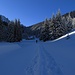 Der Skitourenweg  zu den Langenthalhütten zweigt im Plattenberggraben ab vom Pürschlings-Fahrweg